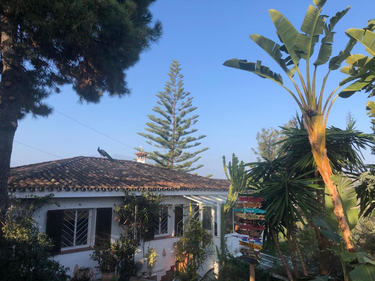 Casa Simba B&B (Adults Only) Estepona Eksteriør bilde