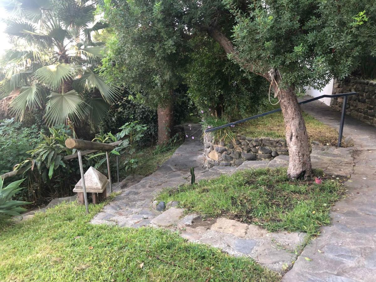 Casa Simba B&B (Adults Only) Estepona Eksteriør bilde